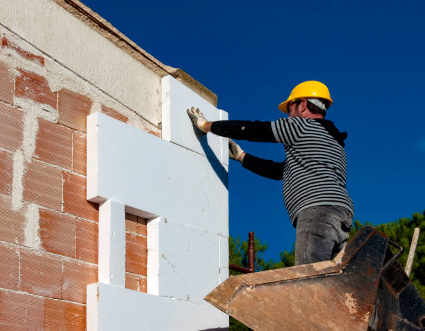 Best Commercial Insulation in Ciborne, LA