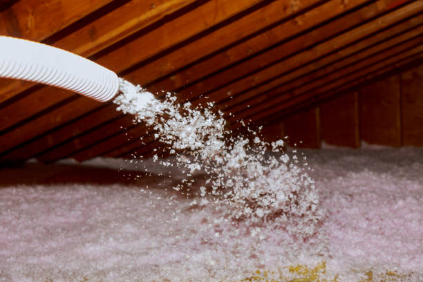 Best Geographic-Specific Insulation Services in Ciborne, LA