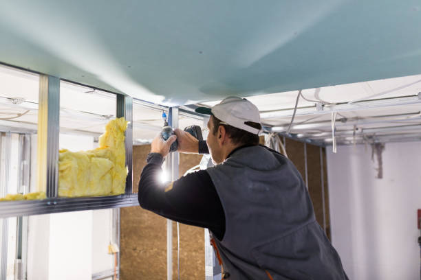 Best Energy Efficiency Insulation in Ciborne, LA