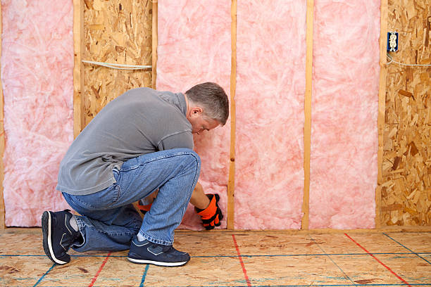 Best Spray Foam Insulation in Ciborne, LA