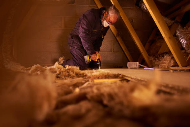 Best Insulation for Specific Applications in Ciborne, LA