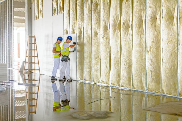 Types of Insulation We Offer in Claiborne, LA